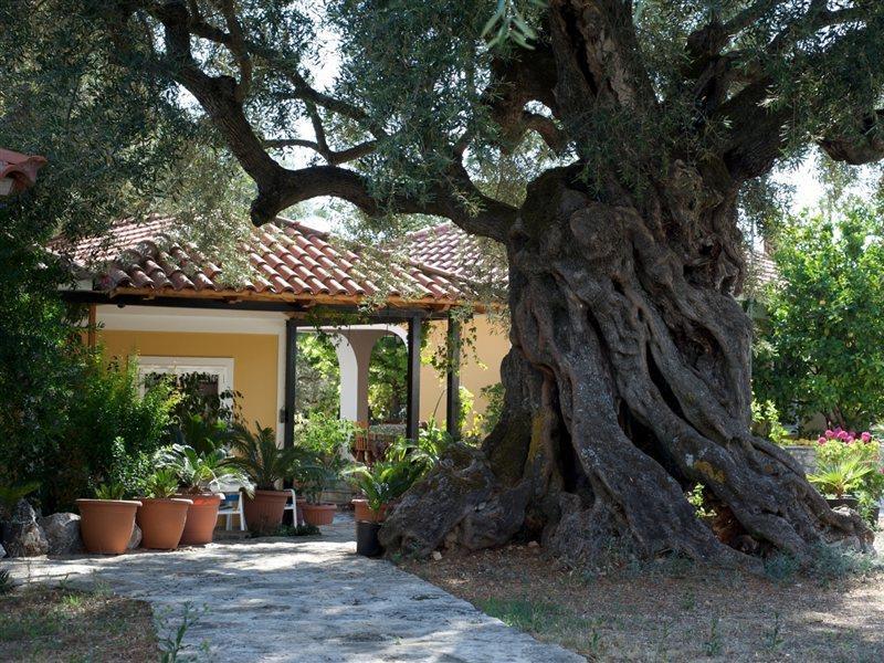 Villa Christina Zakynthos Town Exterior foto